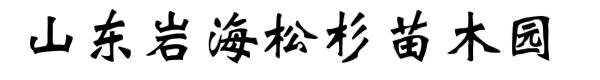 山东岩海松杉苗木园