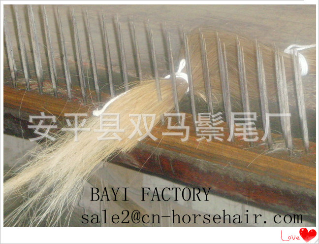 大毛筆用單齊馬鬃圖片/大毛筆用單齊馬鬃樣板圖 (4)