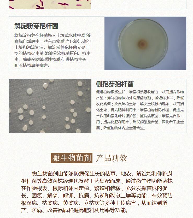 微生物菌劑圖片/微生物菌劑樣板圖 (3)