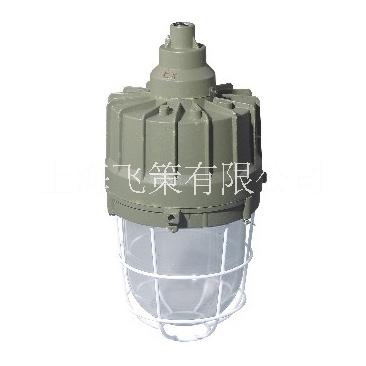 防爆燈圖片/防爆燈樣板圖 (1)