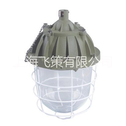BCD56系列隔爆型防爆燈圖片