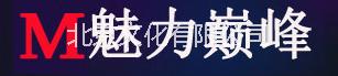 北京演出公司|活动策划执行公司|灯光音响|外籍演艺图片