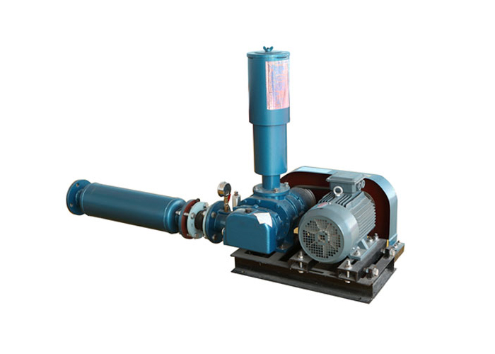 兩葉羅茨鼓風(fēng)機(jī)圖片/兩葉羅茨鼓風(fēng)機(jī)樣板圖 (1)