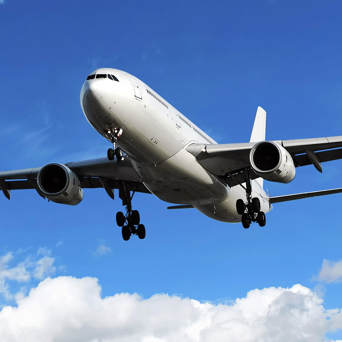 中港進(jìn)出口圖片/中港進(jìn)出口樣板圖 (4)