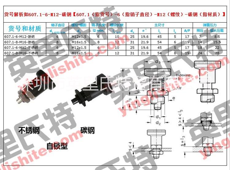 607.1-6-M12-不锈钢分度销607.1-6-M12-不锈钢