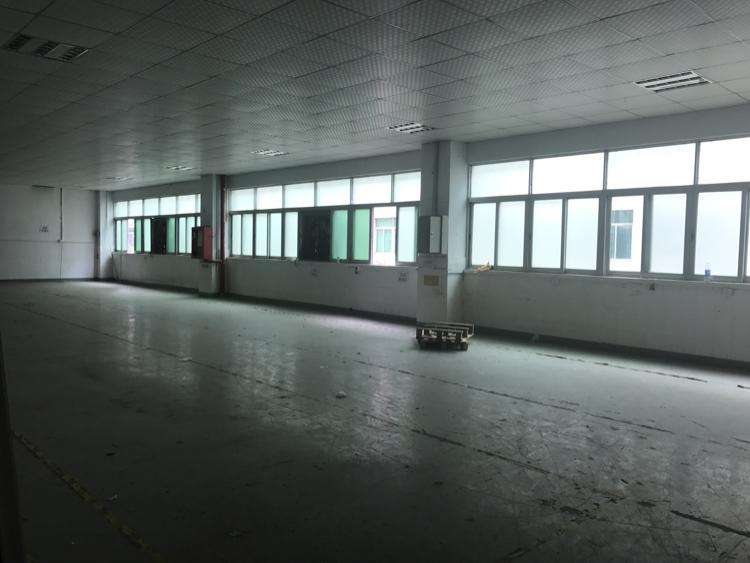 （出租）780平龍華倉庫圖片