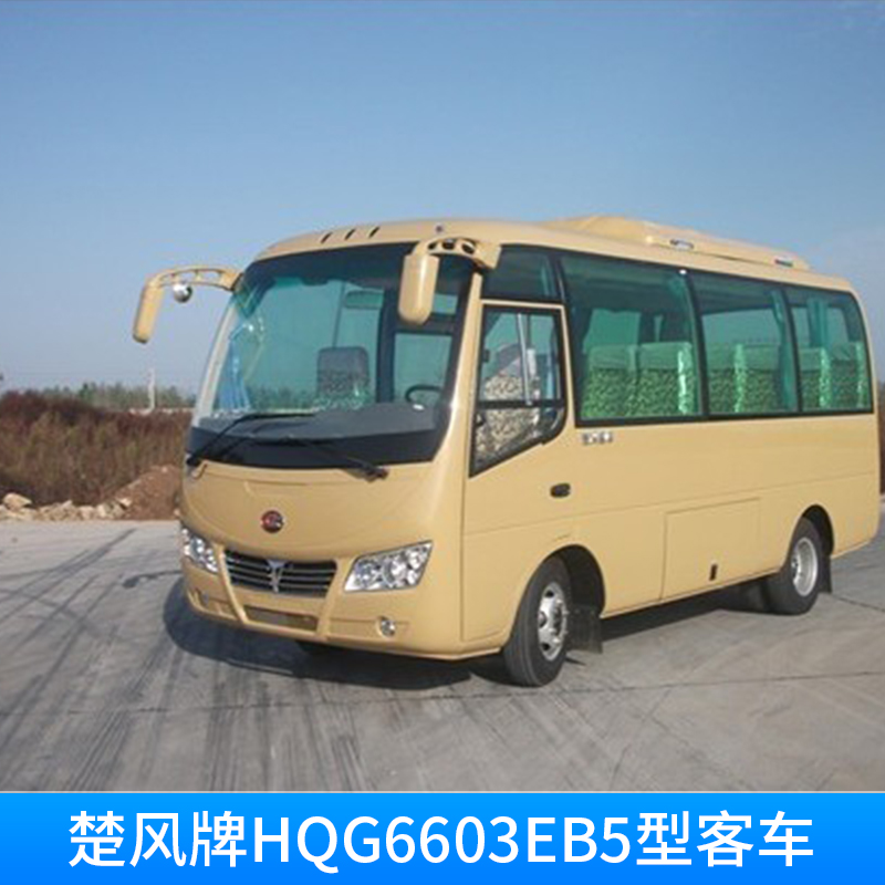 厂家直销 国五楚风牌HQG6603EB5型客车  价格实惠图片