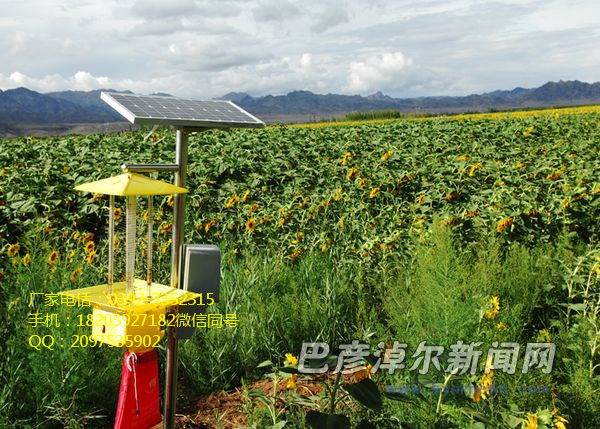 太阳能杀虫灯杀虫灯厂家电图片