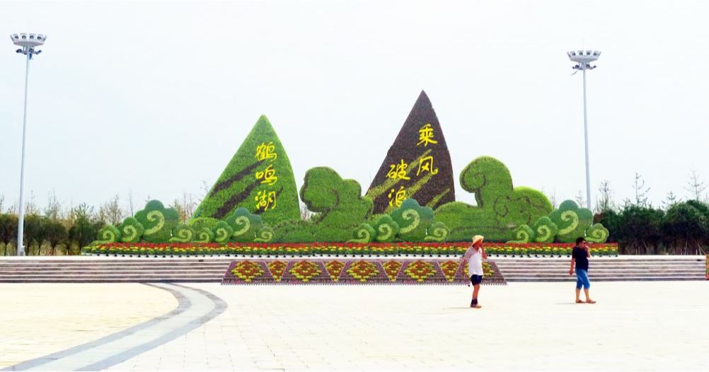 五色草造型圖片/五色草造型樣板圖 (3)