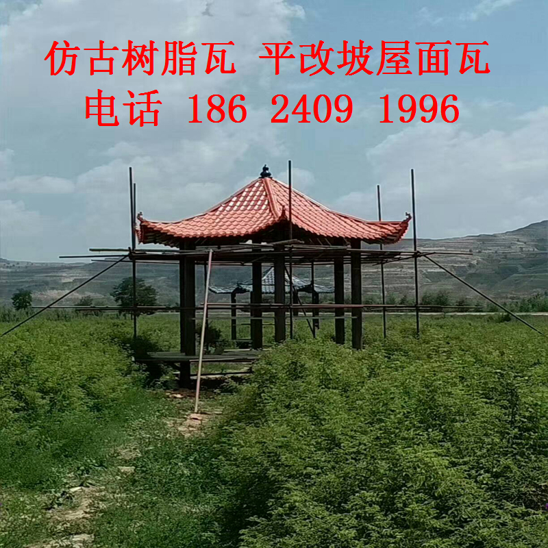 合成樹脂瓦圖片/合成樹脂瓦樣板圖 (4)