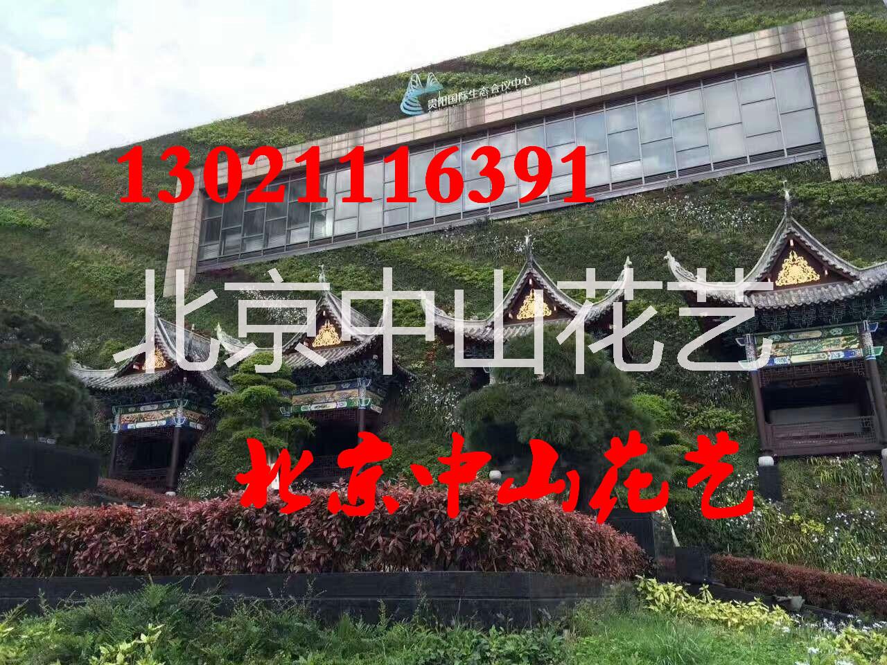 北京仿真植物墙定做室内植物墙墙体立体墙仿真植物墙仿真花墙户外墙面墙面装饰商务办公楼装饰设计家装仿图片