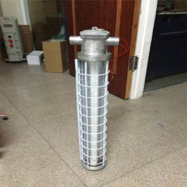 DGS20-127Y礦用隔爆型熒圖片