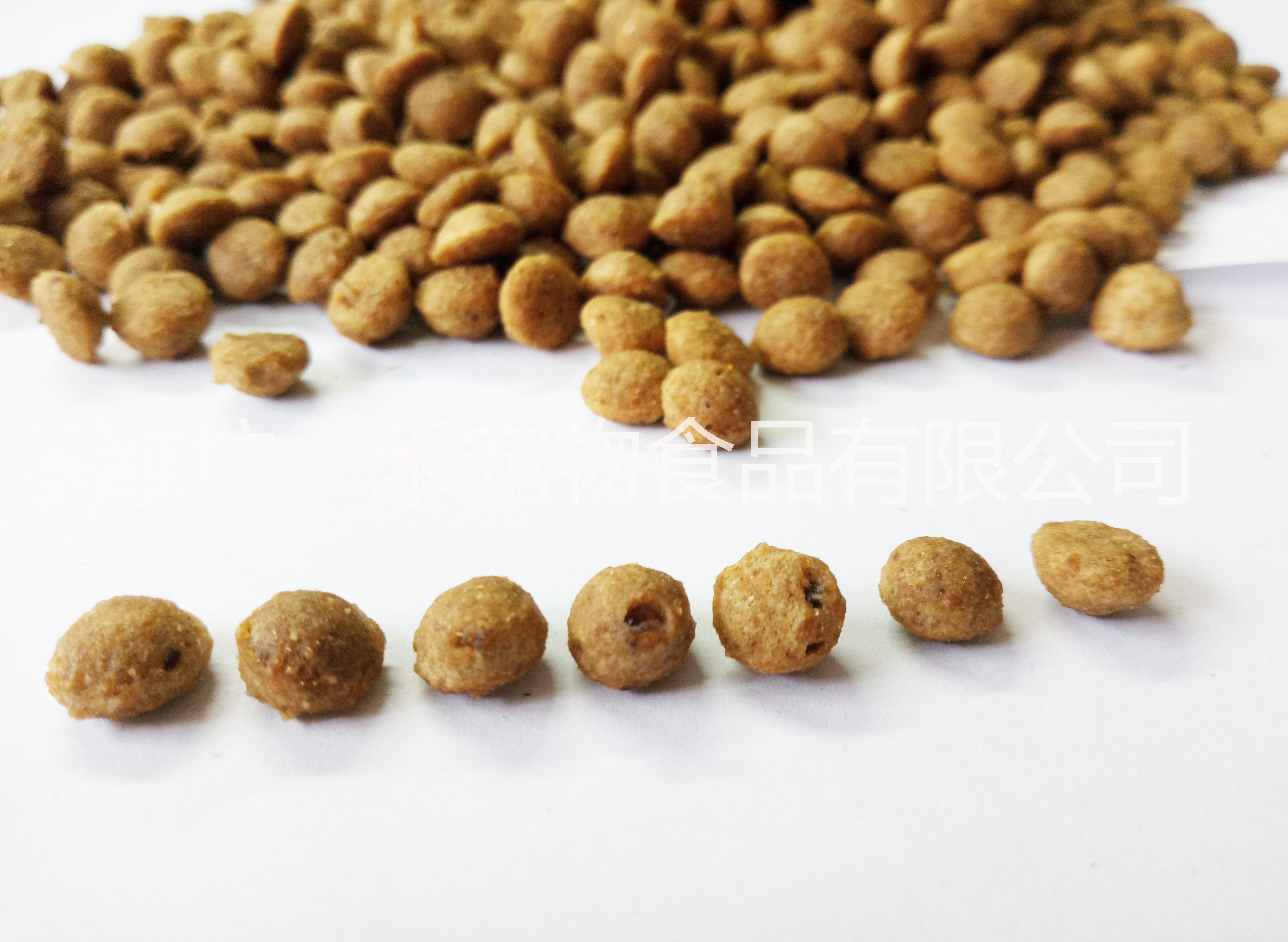 幼犬高能狗糧 OEM代工 鮮肉糧圖片/幼犬高能狗糧 OEM代工 鮮肉糧樣板圖 (3)