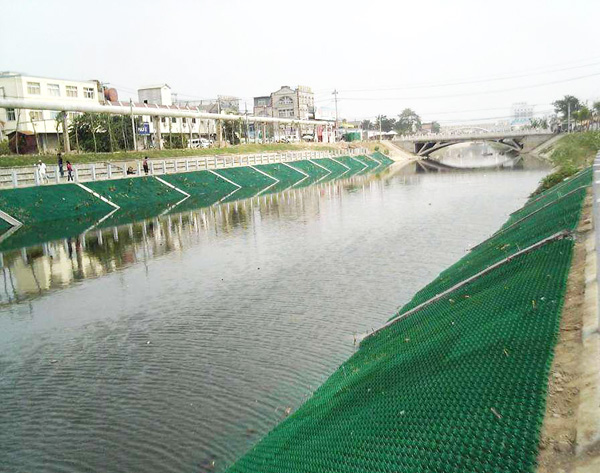 泰安市植草格厂家批发厂家