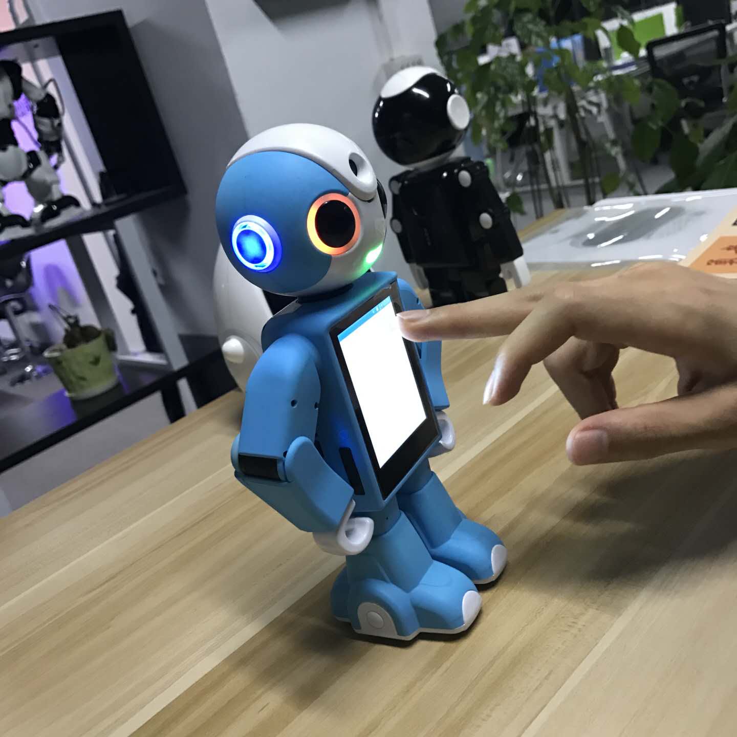 教育機器人圖片/教育機器人樣板圖 (3)