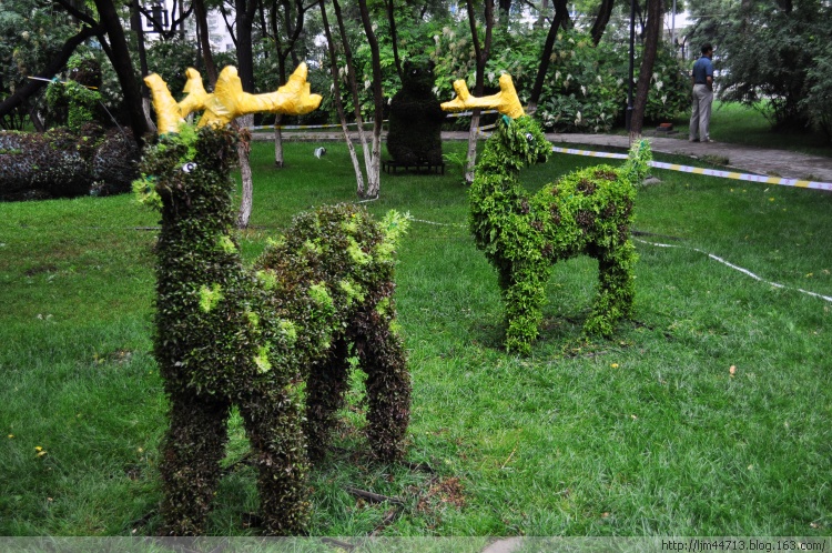 植物墙 墙壁绿化 植物造型 生态绿墙 立体绿化 专业打造背景墙 绿化墙体 植物绿墙 生态植物墙图片