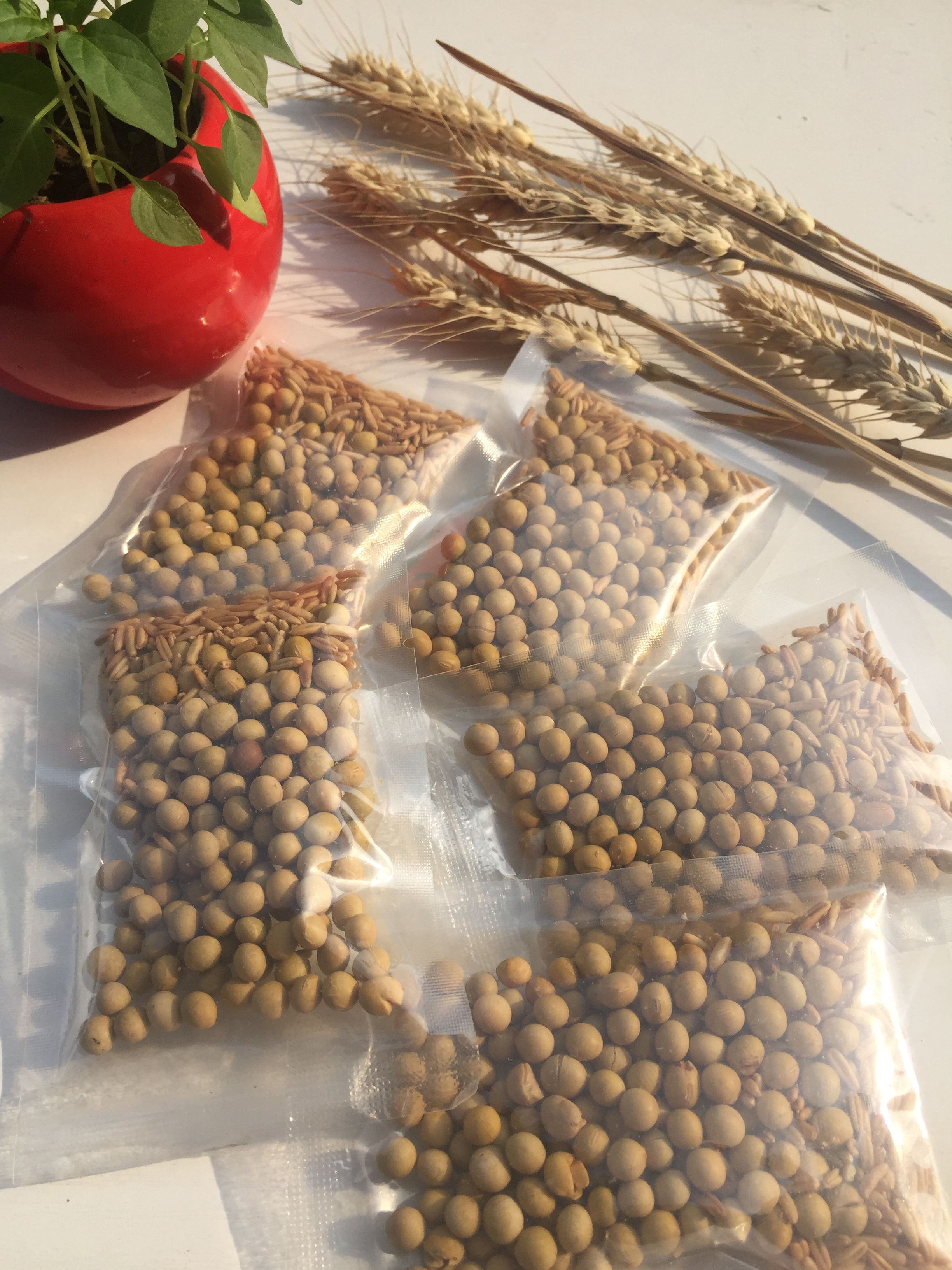 供應現磨五谷豆?jié){原料0.55元，現磨五谷豆?jié){原料供應商，廠家批發(fā)