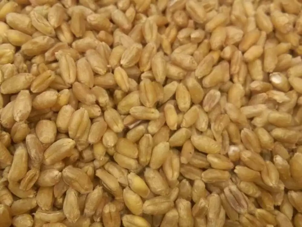 石磨面粉禮盒、石磨面粉價格、