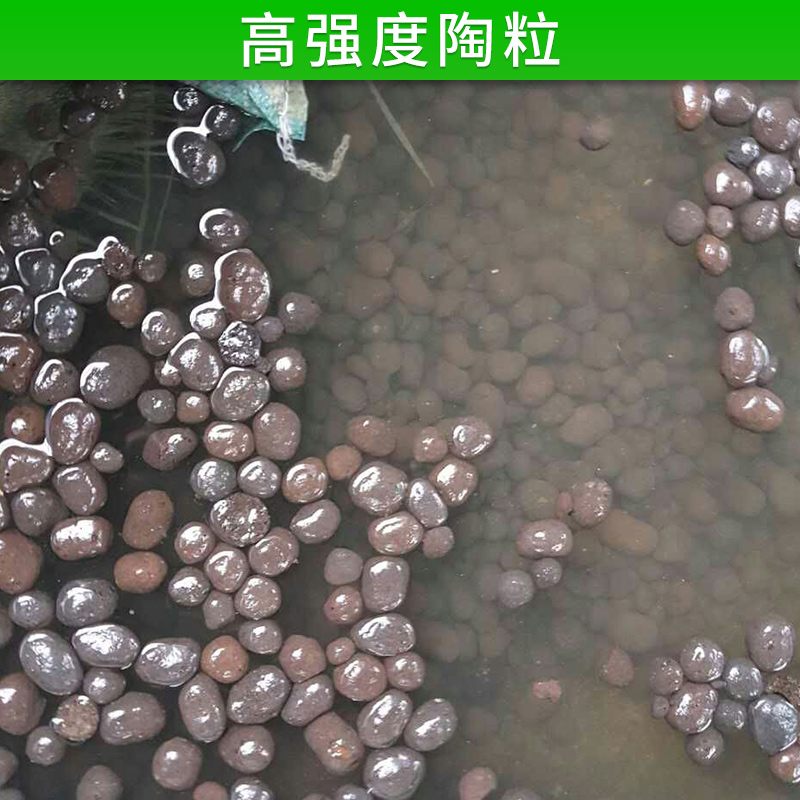 淮南市高强度陶粒厂家高强度陶粒 滤水轻质粘土陶粒 无土栽培 高强度花卉园艺陶粒 厂家直销