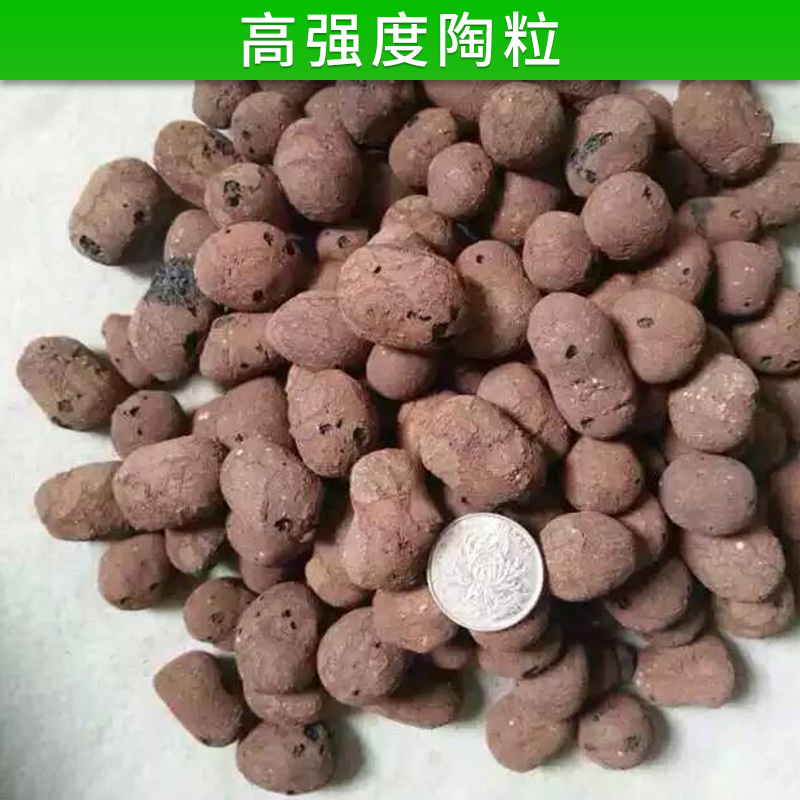 高强度陶粒高强度陶粒 滤水轻质粘土陶粒 无土栽培 高强度花卉园艺陶粒 厂家直销