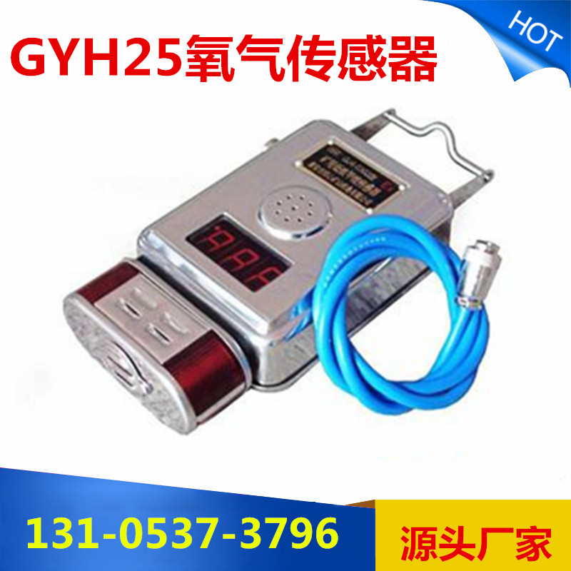 GYH25氧气传感器图片