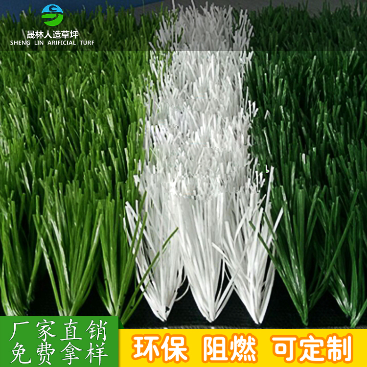 足球場(chǎng)人造草坪圖片/足球場(chǎng)人造草坪樣板圖 (1)