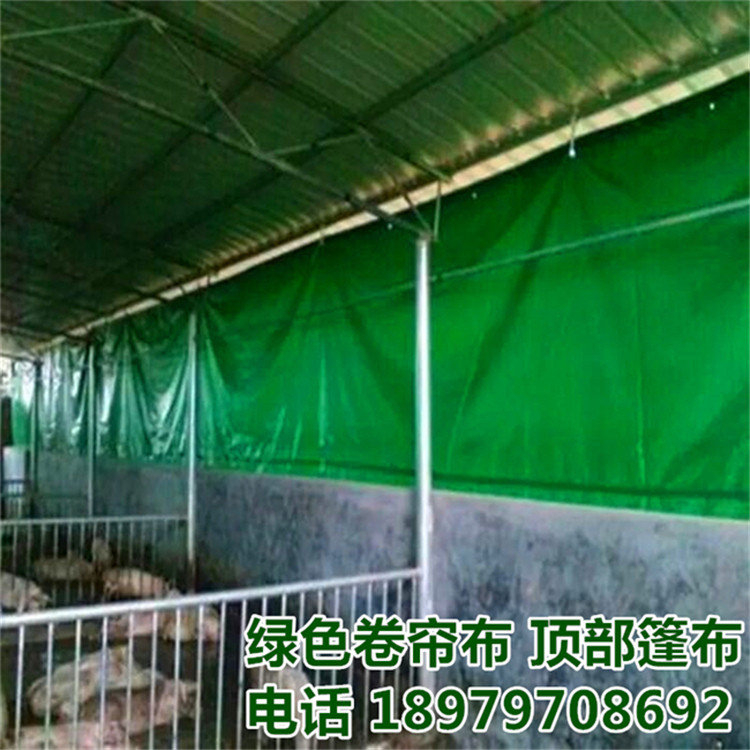 豬場(chǎng)卷簾布圖片/豬場(chǎng)卷簾布樣板圖 (3)