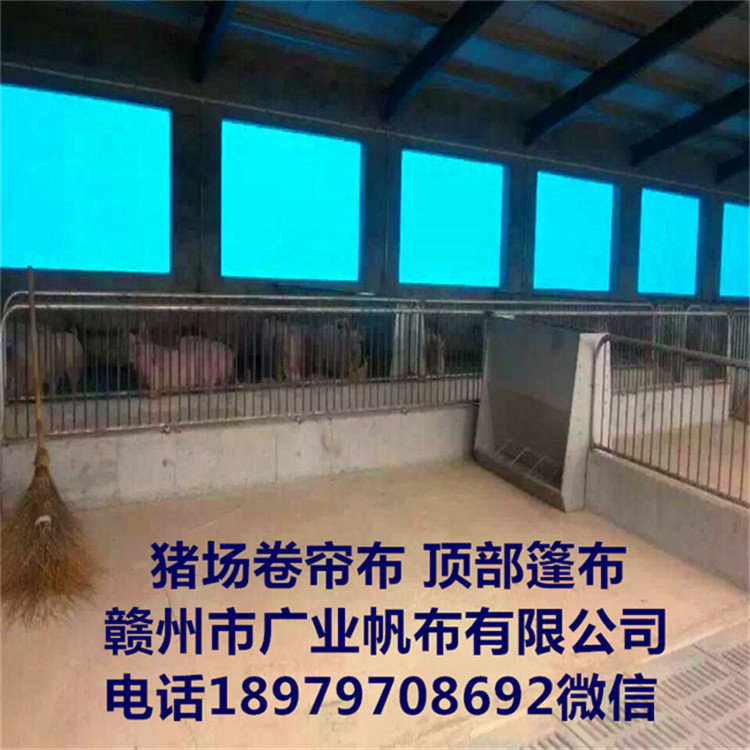 卷簾布圖片/卷簾布樣板圖 (2)