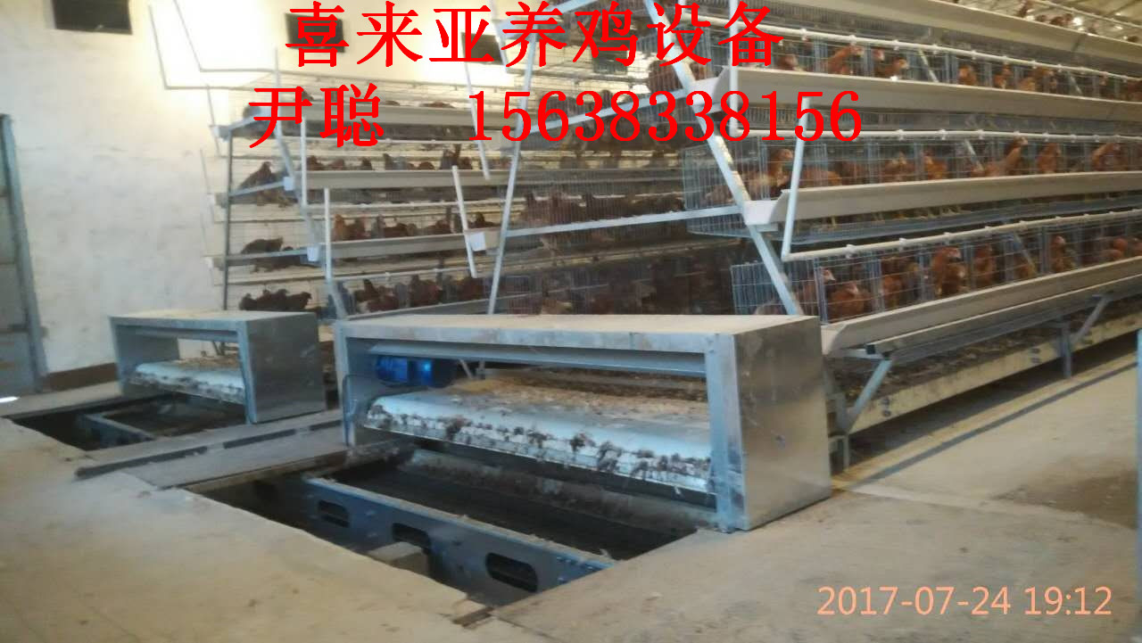 A型阶梯式蛋鸡笼厂家在哪里，喜来亚设备性价比高，质量好A型阶梯式蛋鸡笼厂家图片