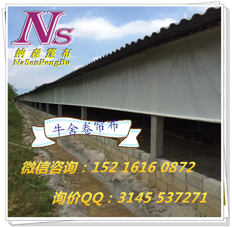 牛舍圖片/牛舍樣板圖 (2)