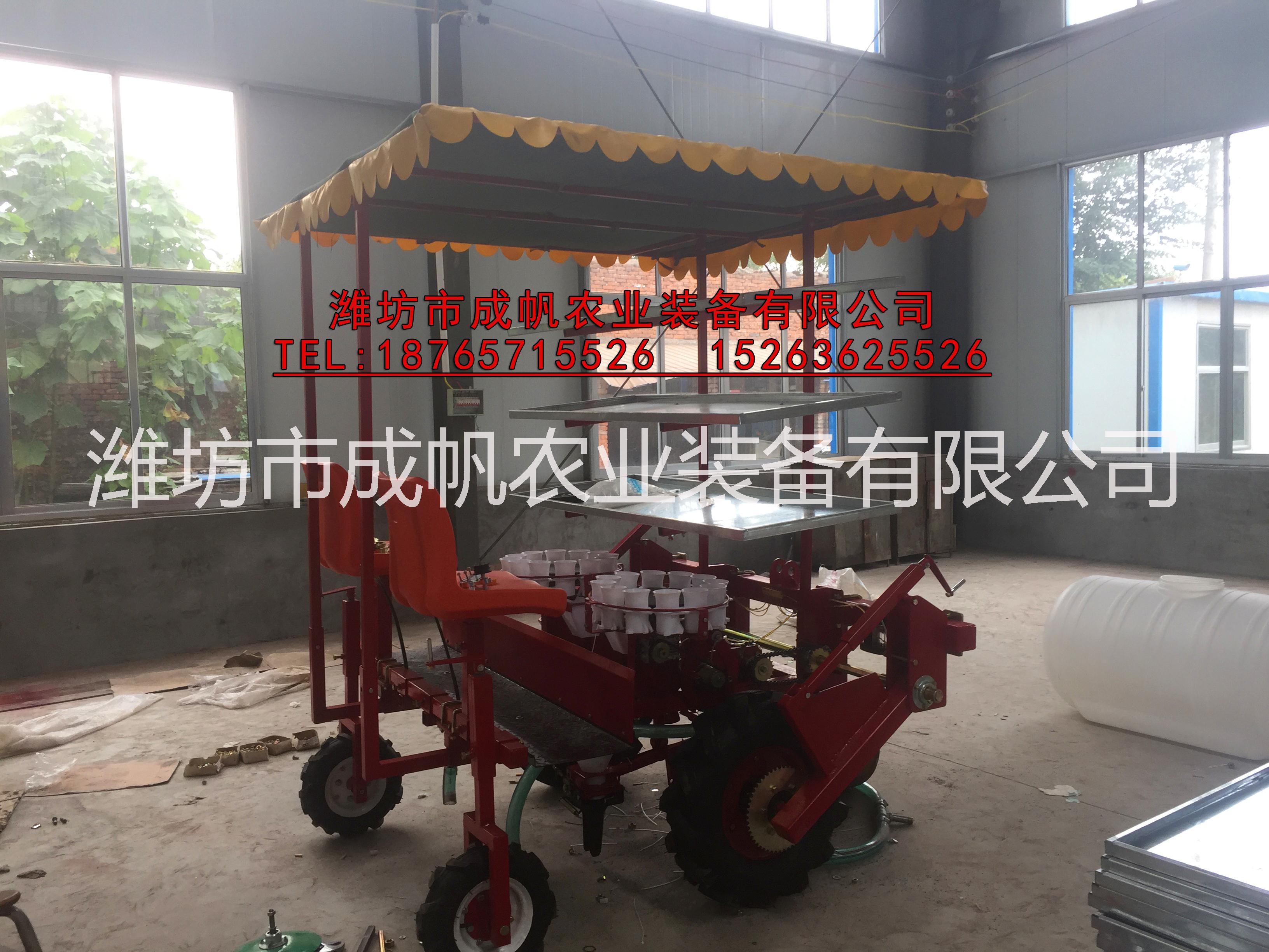 2TX-2型胡蘿卜移栽機圖片