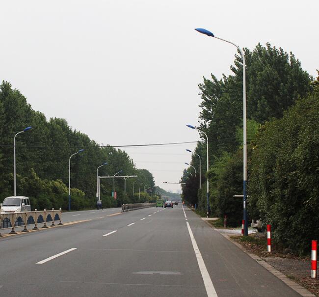 9米路燈自彎臂路燈圖片/9米路燈自彎臂路燈樣板圖 (3)