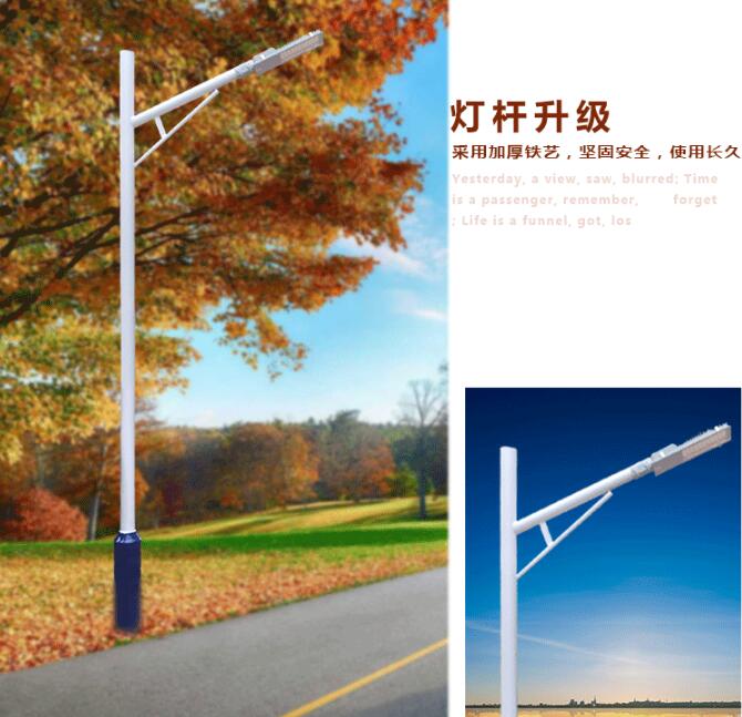 11米自彎臂LED路燈圖片/11米自彎臂LED路燈樣板圖 (4)