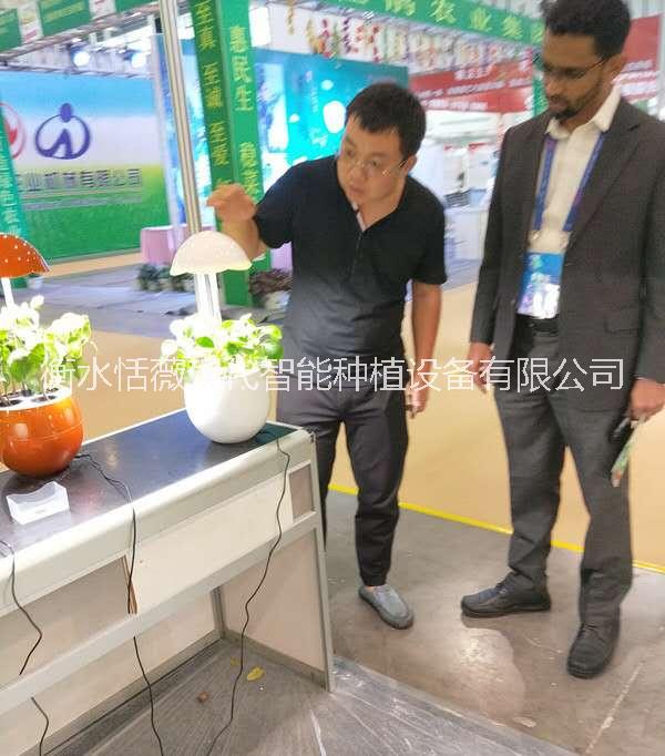 現(xiàn)代全智能蔬菜花卉種植蛋圖片