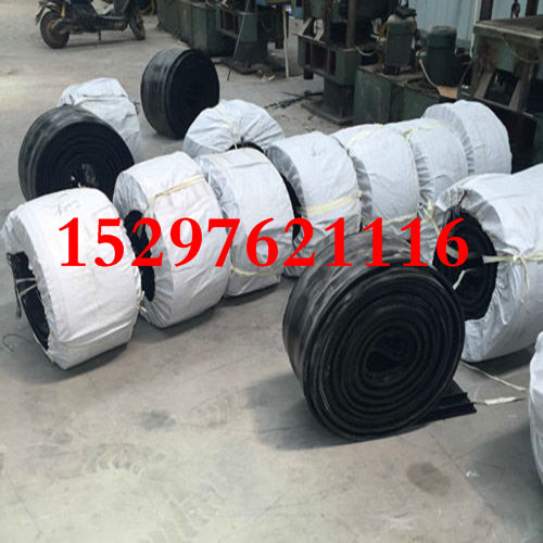 鋼邊橡膠止水帶圖片/鋼邊橡膠止水帶樣板圖 (2)