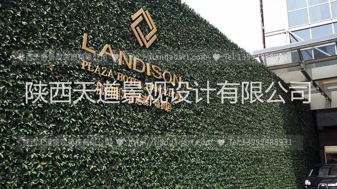 西安仿真綠植定制圖片/西安仿真綠植定制樣板圖 (3)