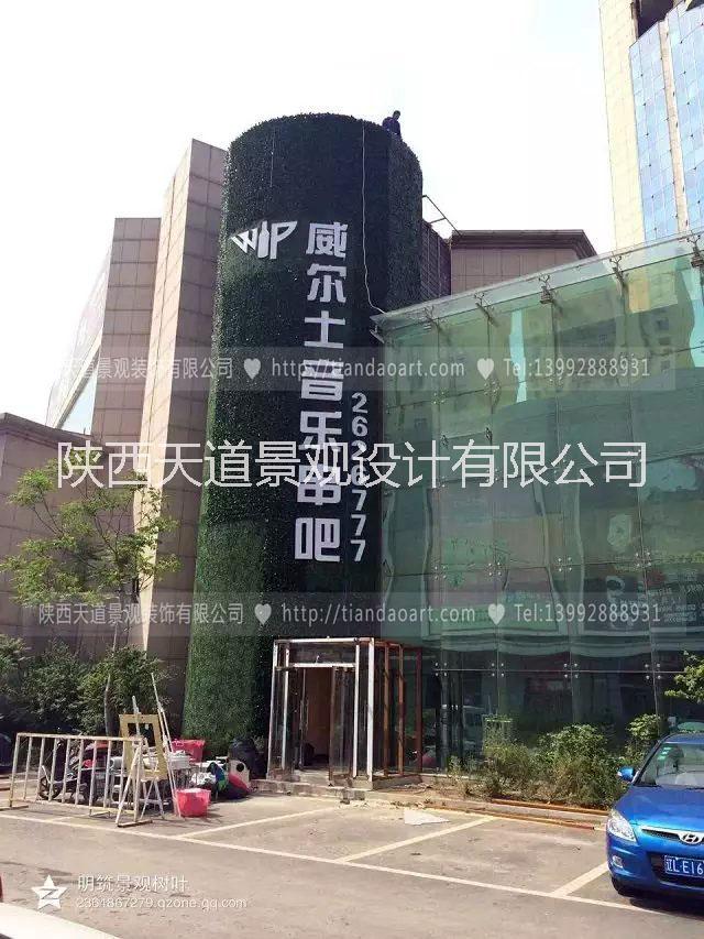 西安仿真綠植定制圖片/西安仿真綠植定制樣板圖 (4)