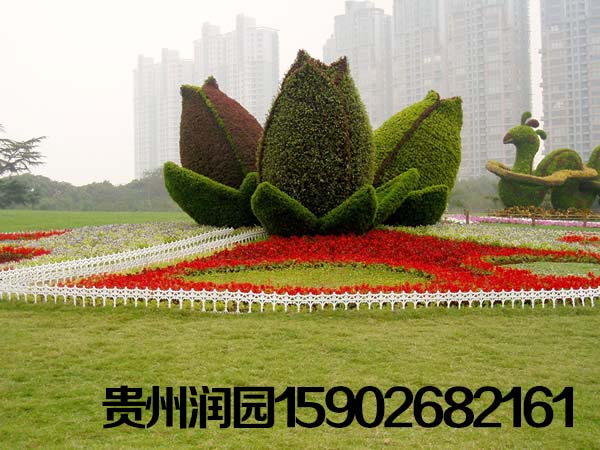 修文绿植围挡建设单位专注鲜花摆放图片/修文绿植围挡建设单位专注鲜花摆放样板图 (3)