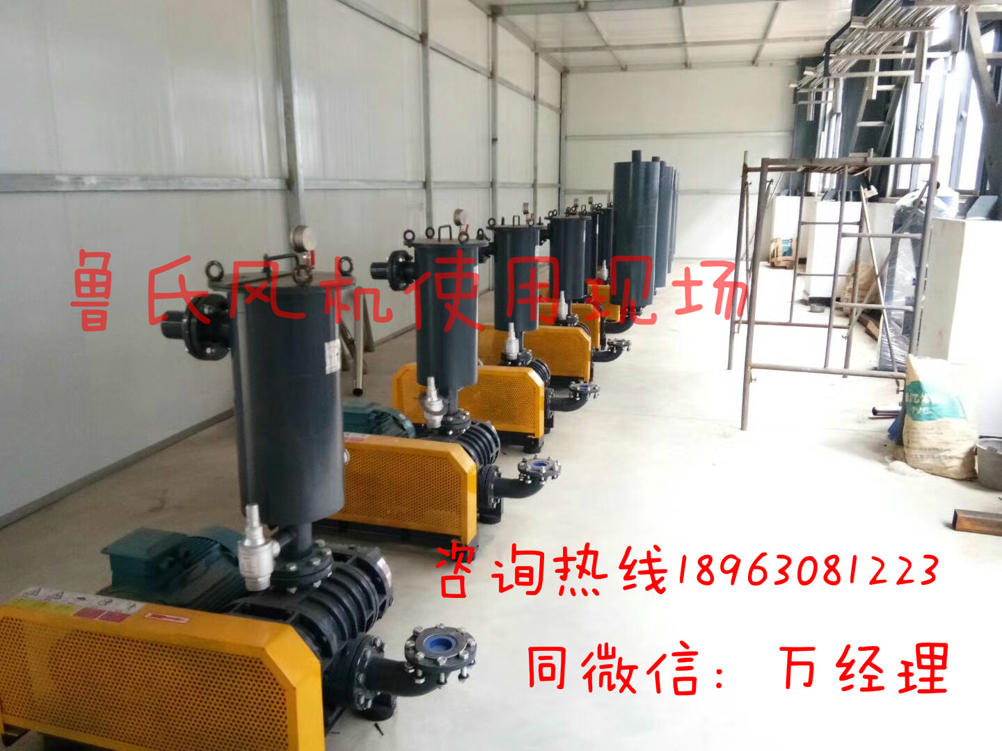 65口徑水處理羅茨風(fēng)機(jī)圖片