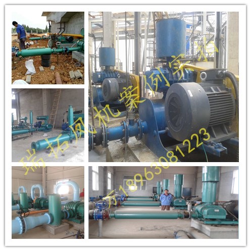 5口徑圖片/5口徑樣板圖 (3)