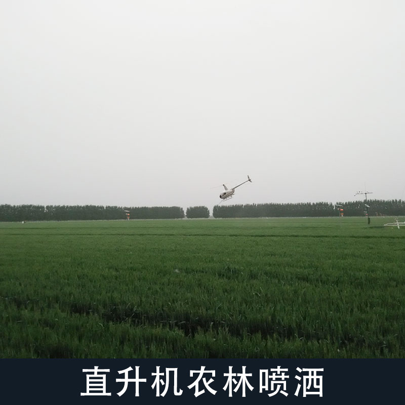 直升机小麦喷洒价格、联系电话【山东小汉直升机租赁有限公司】图片