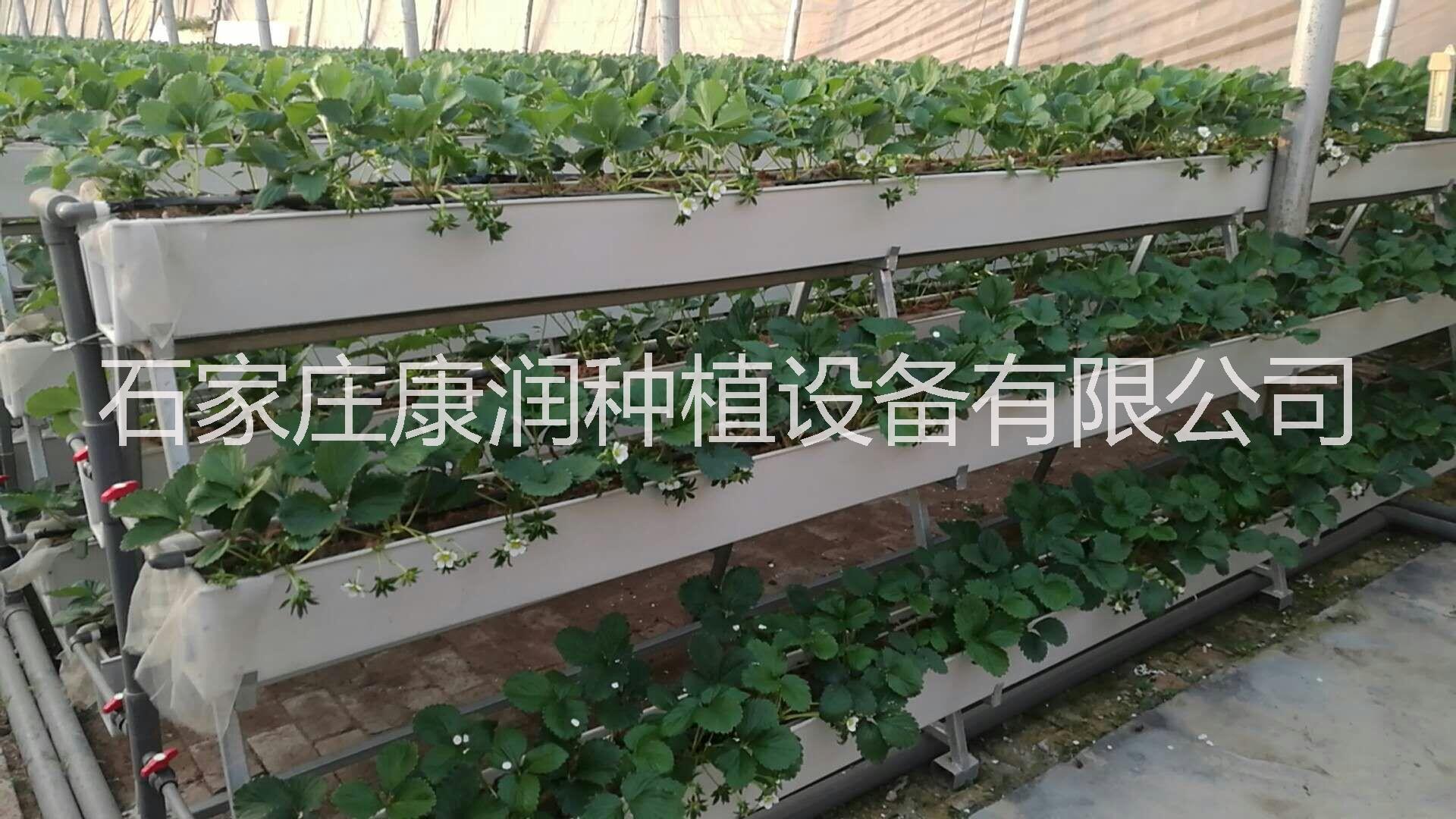 全国绿色种植槽图片