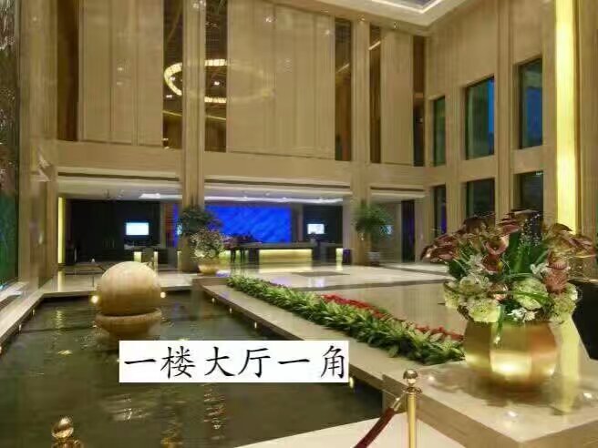 成都糖酒會(huì)圖片/成都糖酒會(huì)樣板圖 (4)