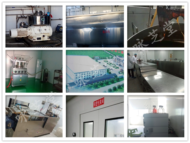 雪梨圖片/雪梨樣板圖 (2)