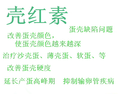 泰安市影响蛋壳质量的因素有哪些厂家影响蛋壳质量的因素有哪些