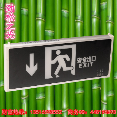 消防应急灯、新国标插电明装、安全出口疏散指示灯标志牌、消防应急灯厂家图片