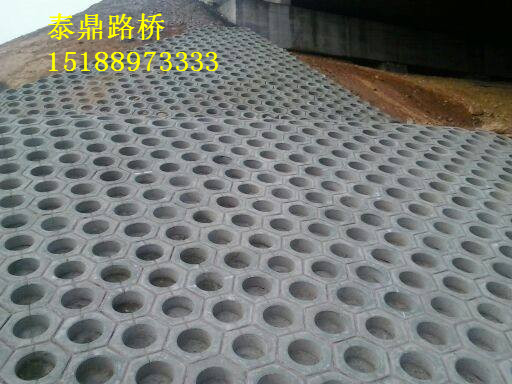 護(hù)坡模具圖片/護(hù)坡模具樣板圖 (4)