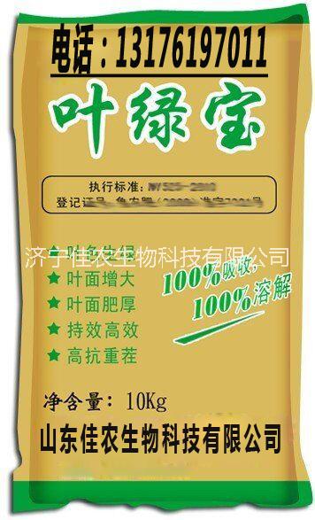 供應 葉綠寶 山東沖施肥 促進葉圖片
