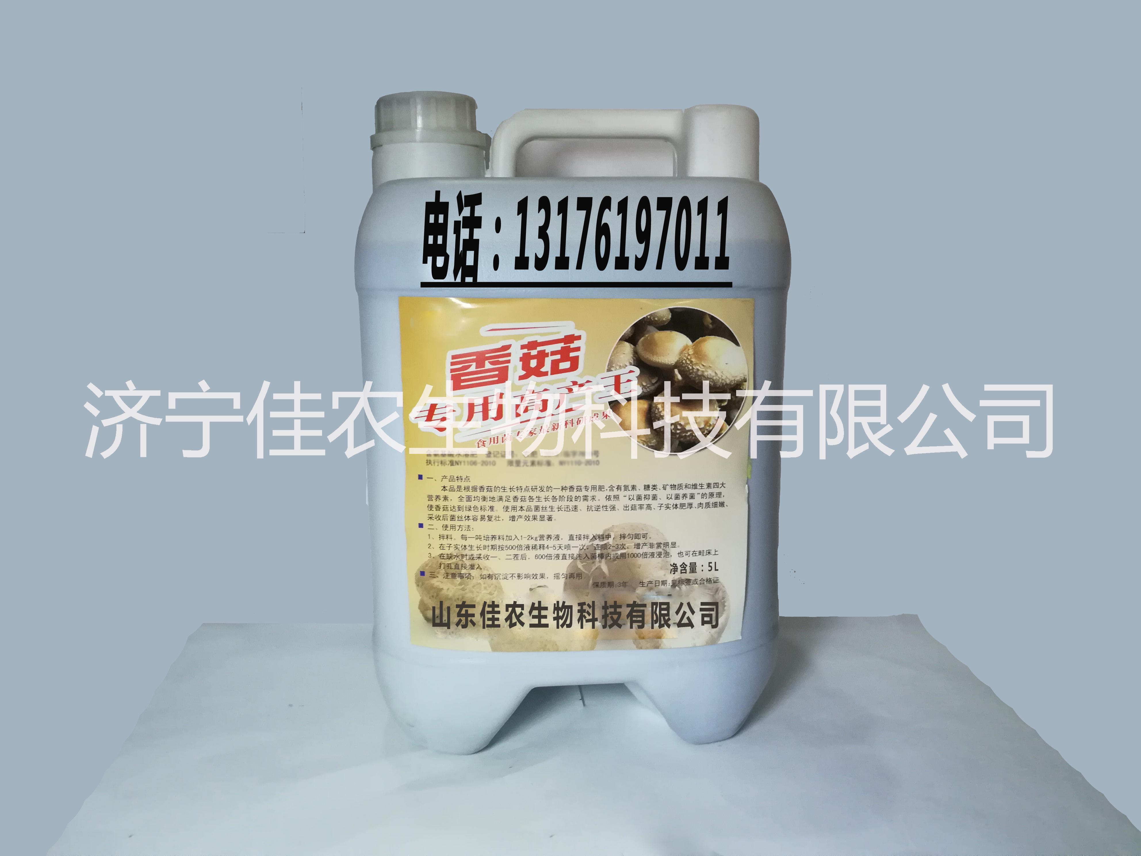 供應(yīng)湖北香菇專用高產(chǎn)王食用菌大棚圖片/供應(yīng)湖北香菇專用高產(chǎn)王食用菌大棚樣板圖 (1)