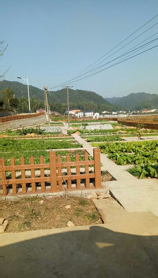 仿木柵欄產(chǎn)品圖片